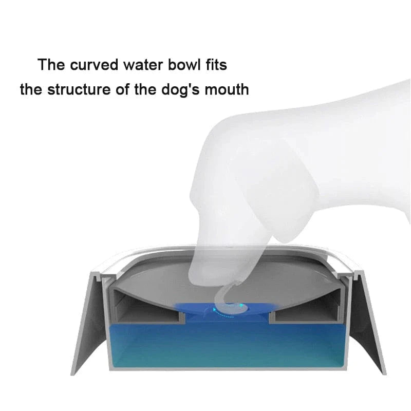 Dog Drinking Water Bowl with Floating Design - Non-Wetting, Non-Skid, Large Capacity